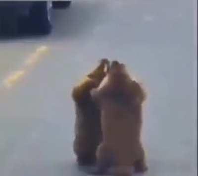 Dance partners ðº ð 