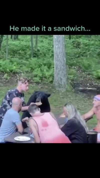 Black bears are actually very curious and normally not overly aggressive