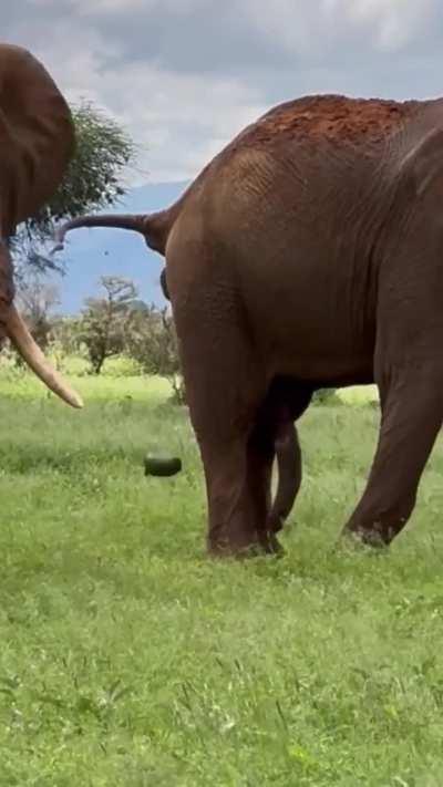 That's one way to go I guess