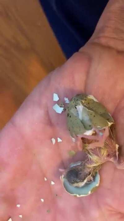 Welcome to the world