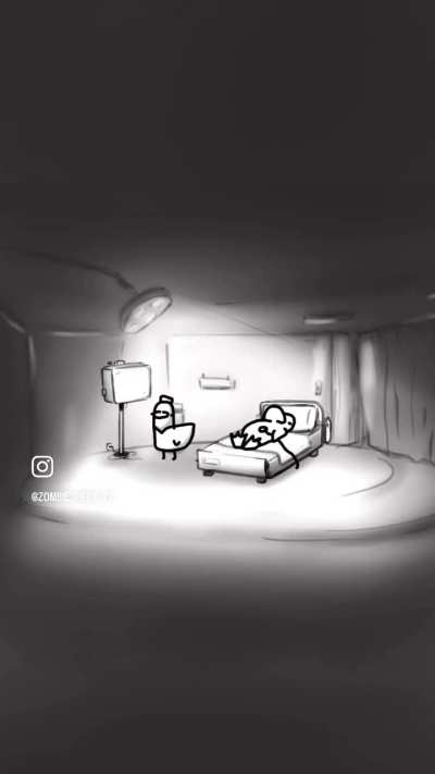 Don’t feed bread to ducks