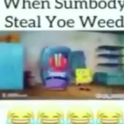 moldy Weed is stolen :((