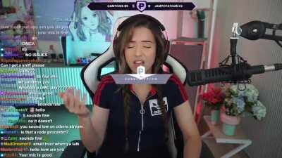Poki cant sneeze
