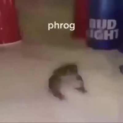 ....phrog....
