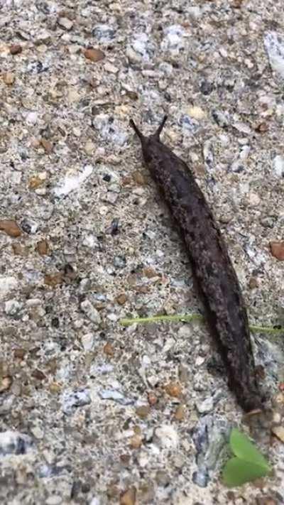 I’m 15 and this is yeet