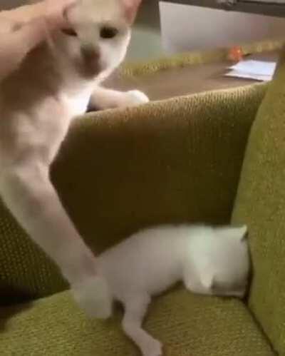 Stop it, I'm a mother now