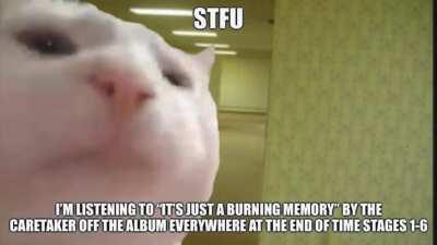 Absolute banger!! 👏👏👏👊👊👏👌👌🤟