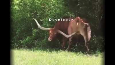 “No time to try new things, it has to be done yesterday!”