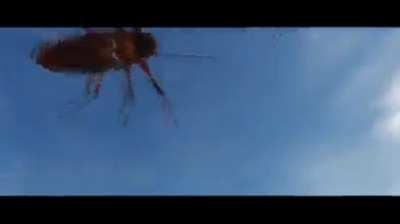 turkish airforce number one in turkey🇹🇷🇹🇷💪