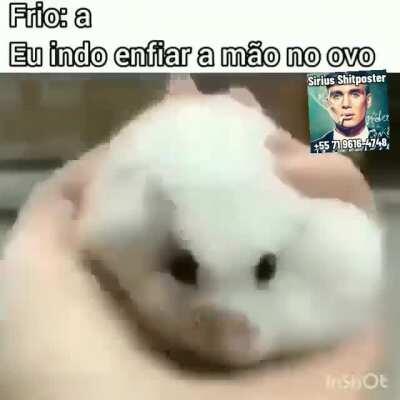 mais um da gang do Tobias