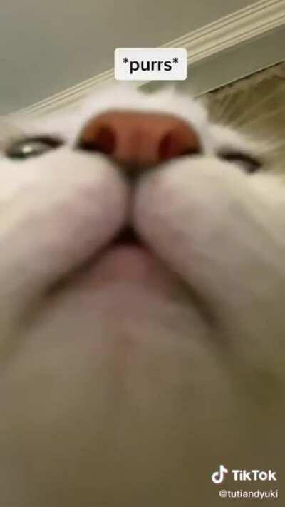 please don’t be sad 💜