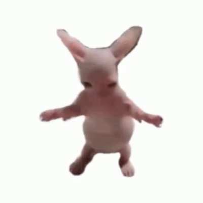 Scary bingus dance jumpscare 😨😨😨