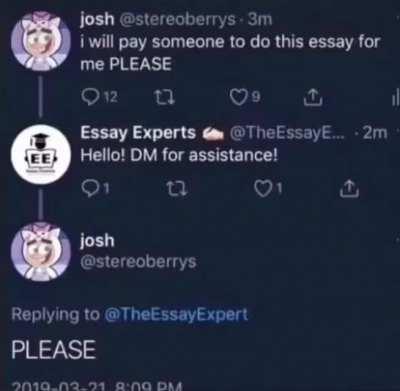 Based Essay Expert