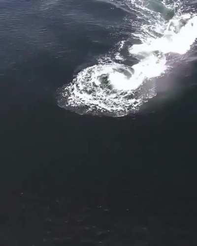 10,,000 gallons in a single gulp