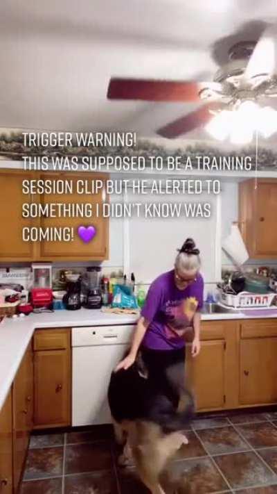 epilepsy service dog catches his human before she hits the floor