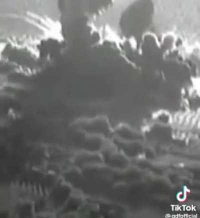 there is no meme, But enjoy this video i found on tiktok!