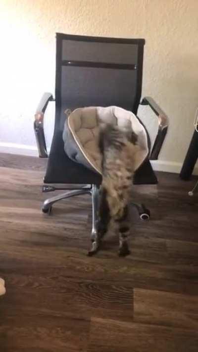 This is how he gets himself out of bed to greet me