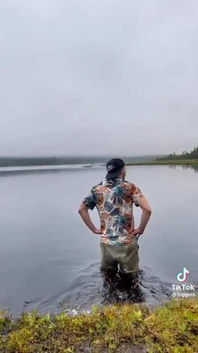 my swamp people need me