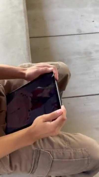 wordington evangelion fan