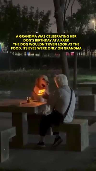 A grandma was celebrating her dog´s birthday at a park