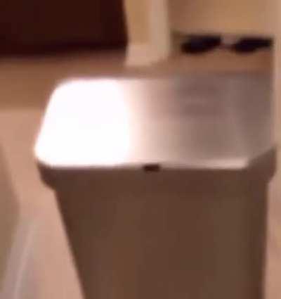 âYour Miiâ.