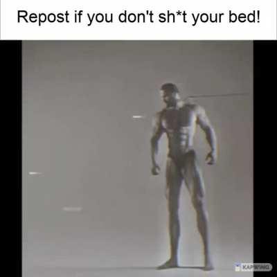 Repost if You don't Shit Your Bed