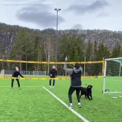 Хороший мальчик