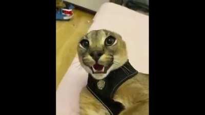 Instagram: @thehaybale