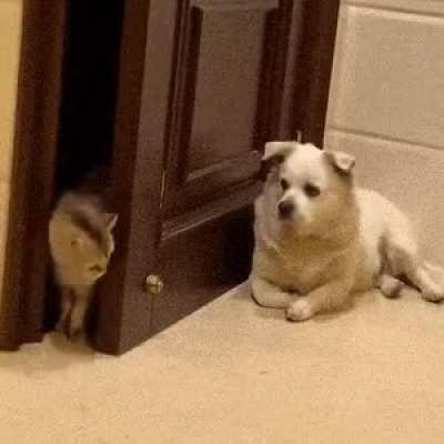 Well, just checking.