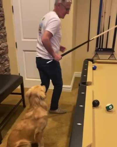 The best team mate you could ask for