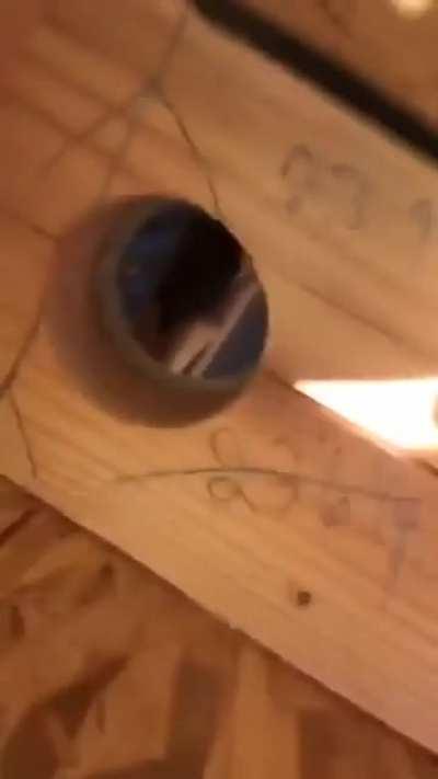 Да ты там ох**л, что ли?