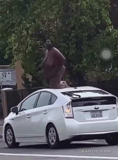 weapon of MASS destruction on the loose