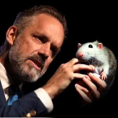 Rattus norvegicus