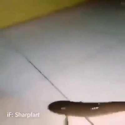 Fds. EVOLUÇÃO!!!!!!