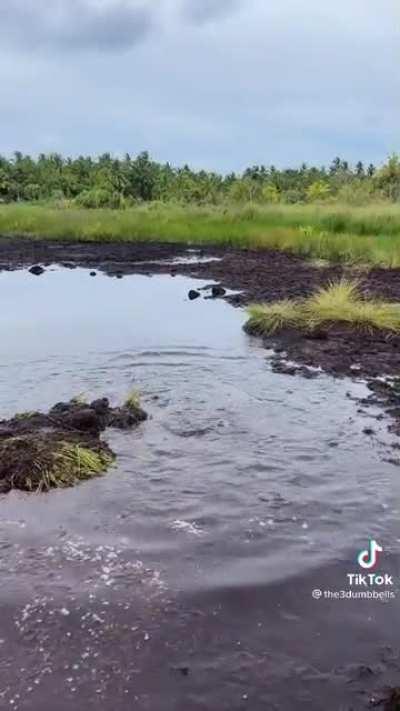 So much for his trousers