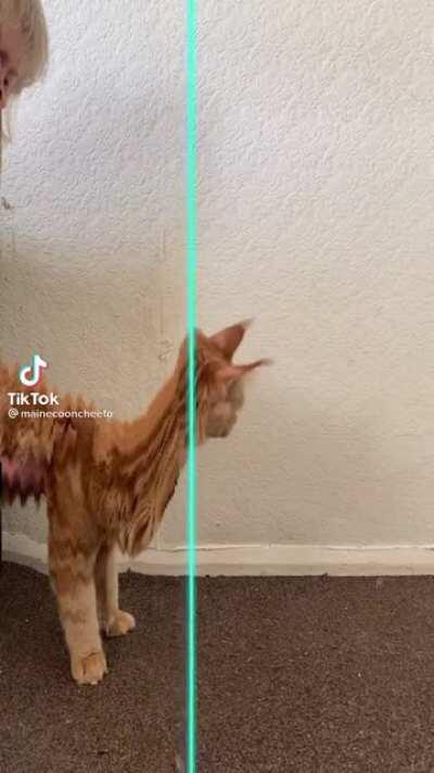 Early giraffe prototype exposed