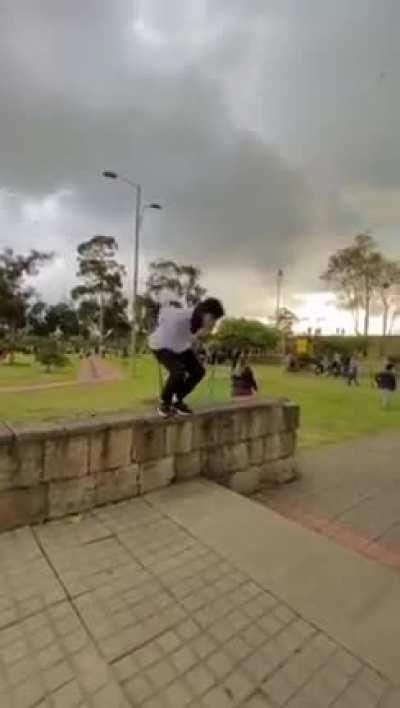 Professional Backflip