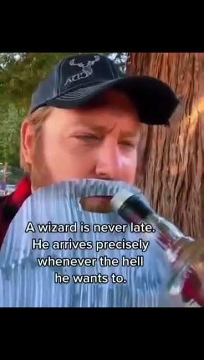 Shut the fuck up before I Fireball you, Frodo. 