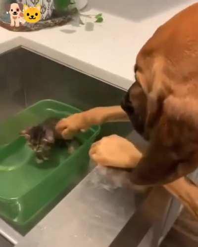 Aww, such a pure moment