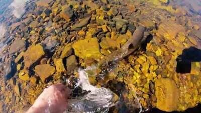 Fly Fishing the Boulder White Clouds, Idaho