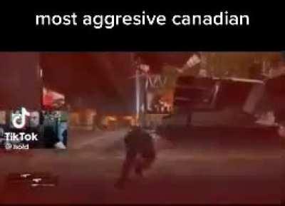 🇨🇦