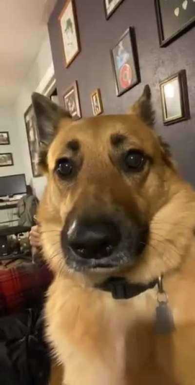 he’s like “oh what do i do”