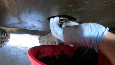 Oil Change with Andrew Camarata