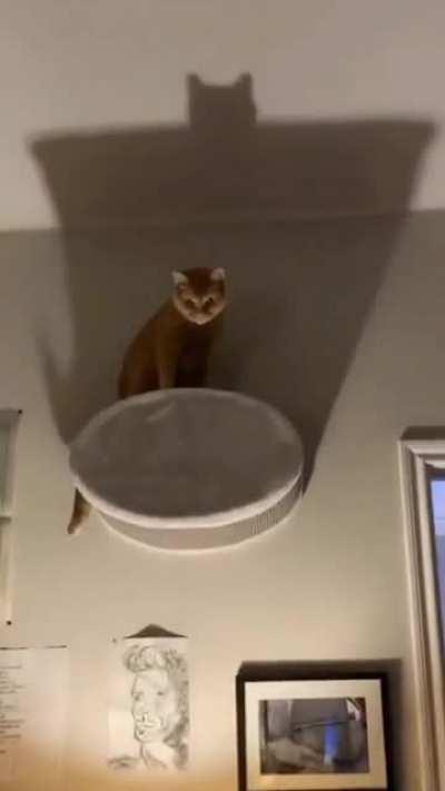 Now I can't go to sleep