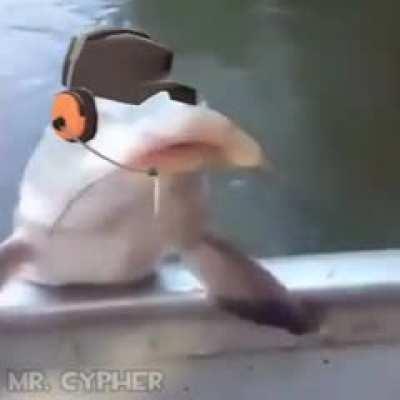 I need this as a download