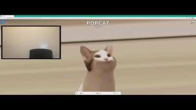 Malaysians rn . - Intense racing POPCAT score .