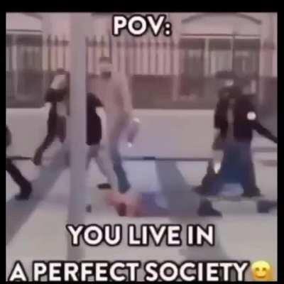 A perfect society😎