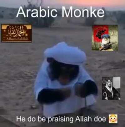 arabic monke
