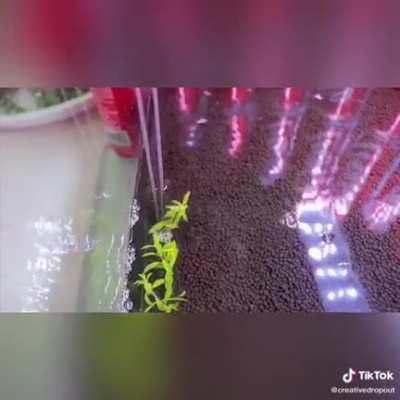 What’s even the point of making this?