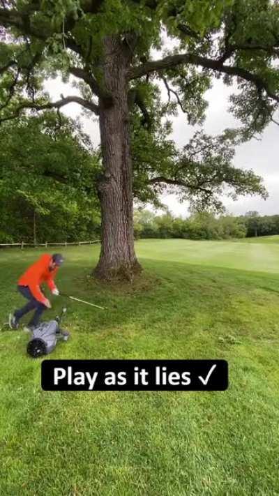 Just some speedy boys playing some speedy golf